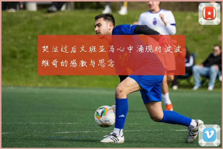 哭泣过后文班亚马心中涌现对波波维奇的感激与思念