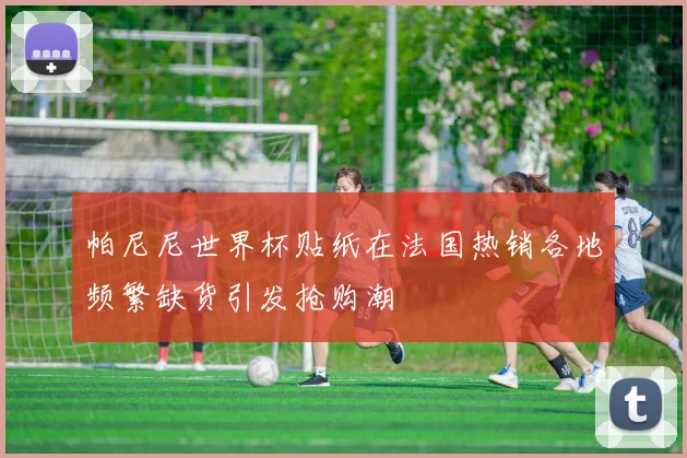 帕尼尼世界杯贴纸在法国热销各地频繁缺货引发抢购潮